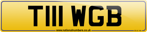 T111 WGB
