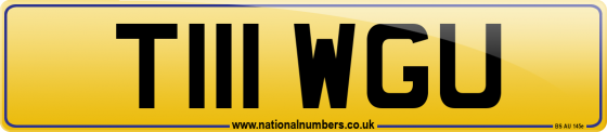 T111 WGU