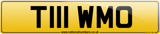 T111 WMO