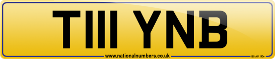 T111 YNB