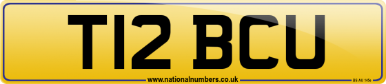 T12 BCU