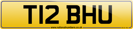T12 BHU