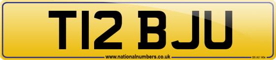 T12 BJU