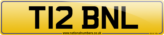 T12 BNL