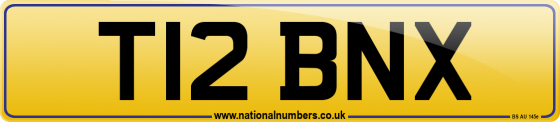 T12 BNX