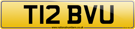 T12 BVU