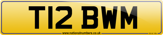 T12 BWM