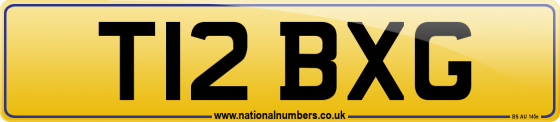 T12 BXG