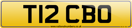 T12 CBO