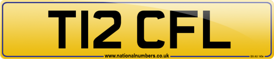 T12 CFL