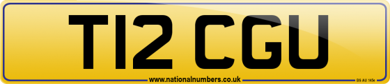 T12 CGU