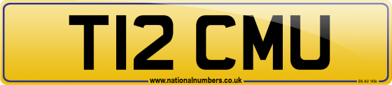 T12 CMU