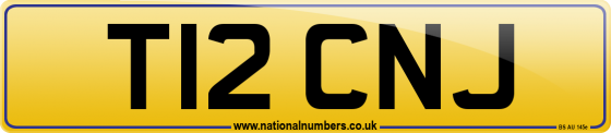 T12 CNJ