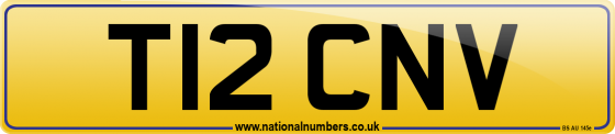 T12 CNV