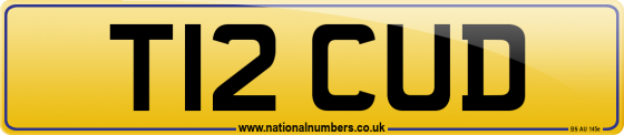 T12 CUD