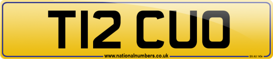 T12 CUO