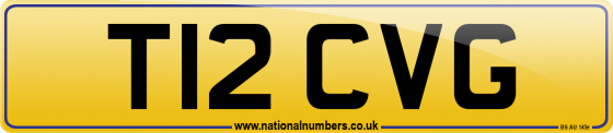 T12 CVG