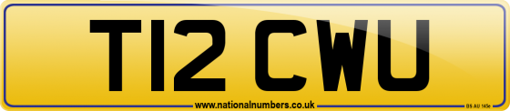 T12 CWU
