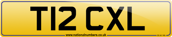 T12 CXL