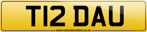 T12 DAU