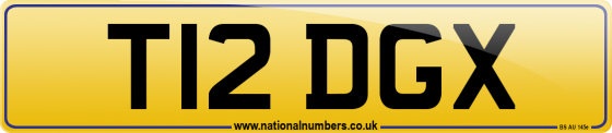 T12 DGX