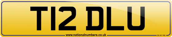 T12 DLU