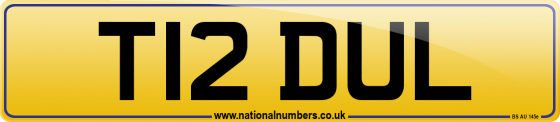 T12 DUL