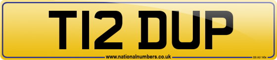 T12 DUP