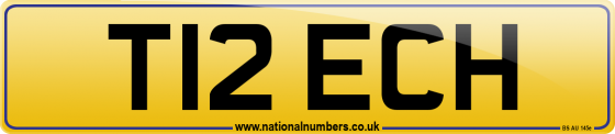 T12 ECH