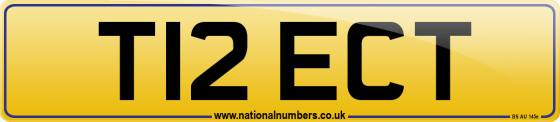 T12 ECT