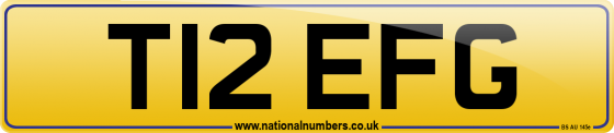 T12 EFG