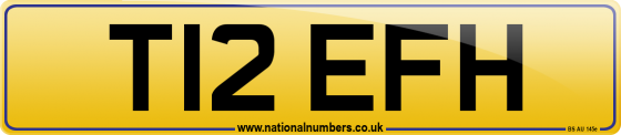 T12 EFH