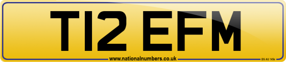 T12 EFM