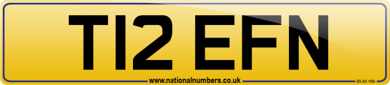 T12 EFN