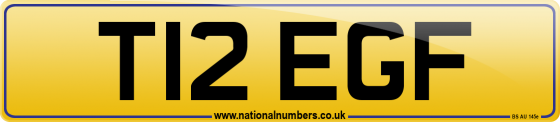 T12 EGF
