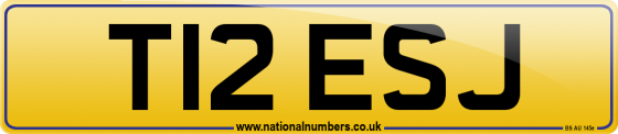 T12 ESJ