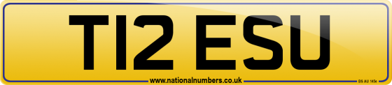 T12 ESU