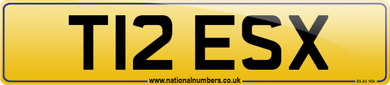 T12 ESX