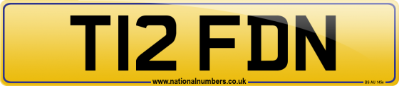 T12 FDN