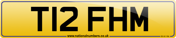 T12 FHM