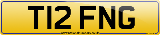 T12 FNG