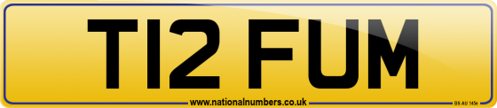 T12 FUM