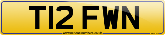 T12 FWN