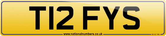T12 FYS