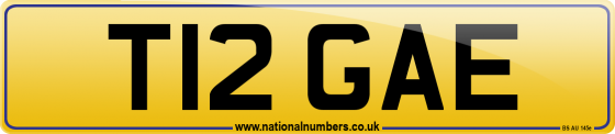 T12 GAE