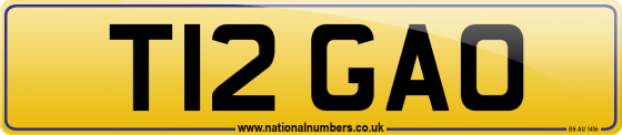 T12 GAO