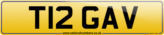 T12 GAV