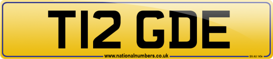T12 GDE