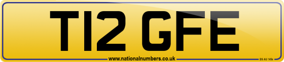 T12 GFE