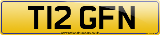 T12 GFN